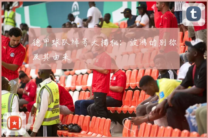 德甲球队绰号大揭秘：波鸿的别称及其由来