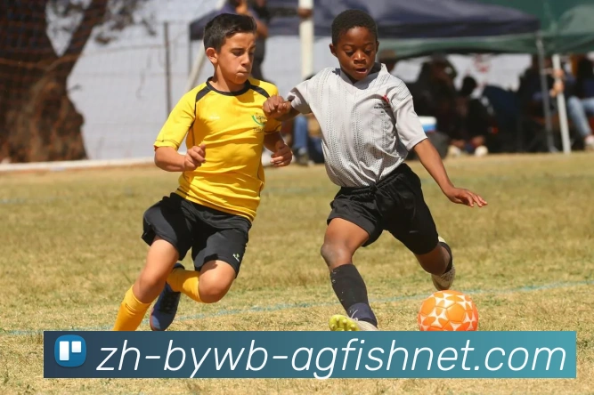 AG捕鱼王官网服务体系