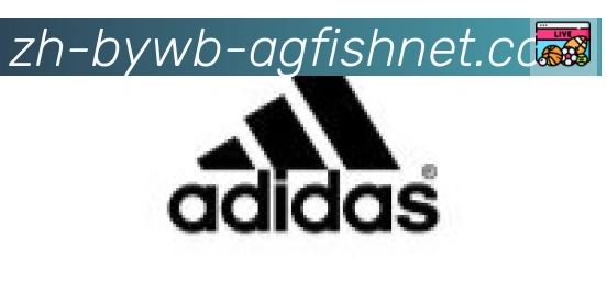 AG捕鱼王官网合作伙伴
