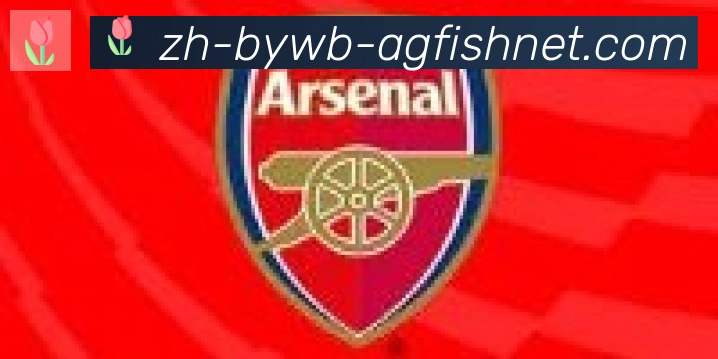AG捕鱼王官网合作伙伴