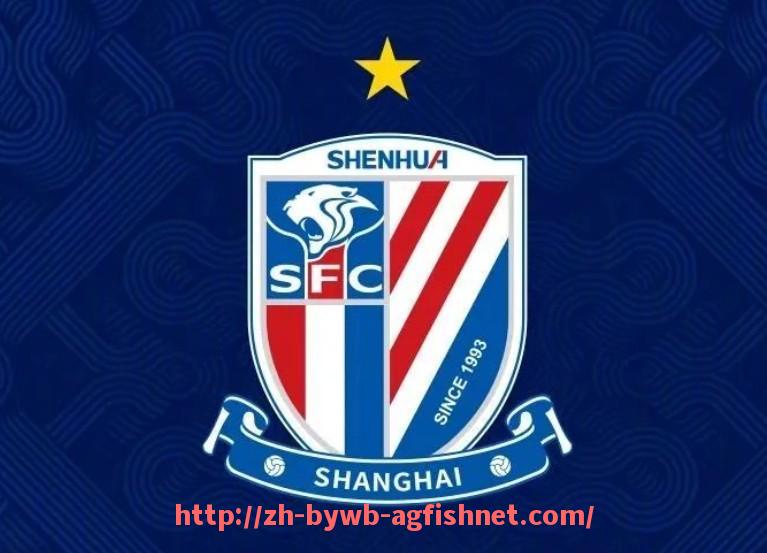 AG捕鱼王官网-意甲球队编号规则及体育赛事管理规范解读